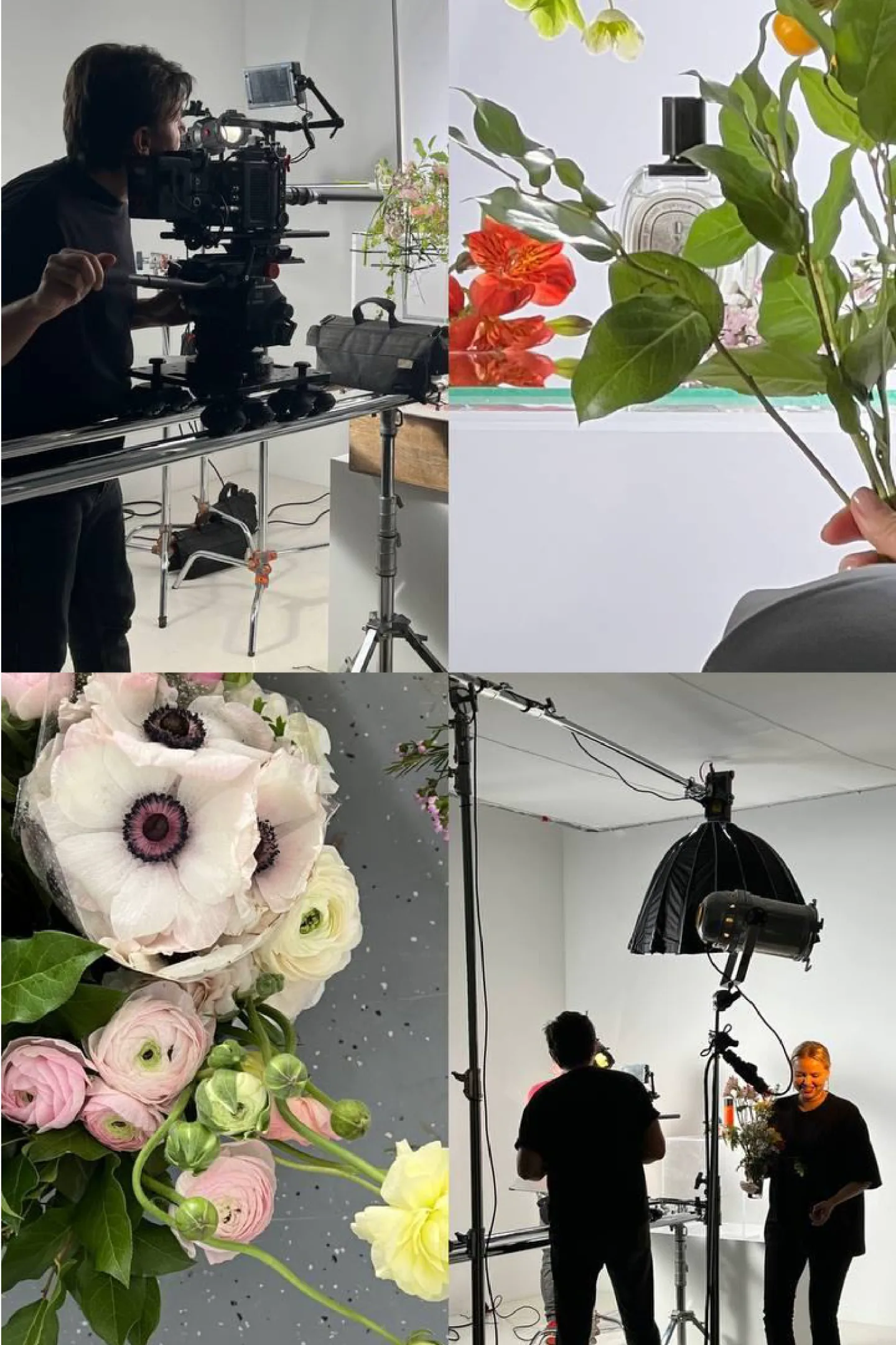 Photo shoot backstage: a camera rig, flowers, a light stand